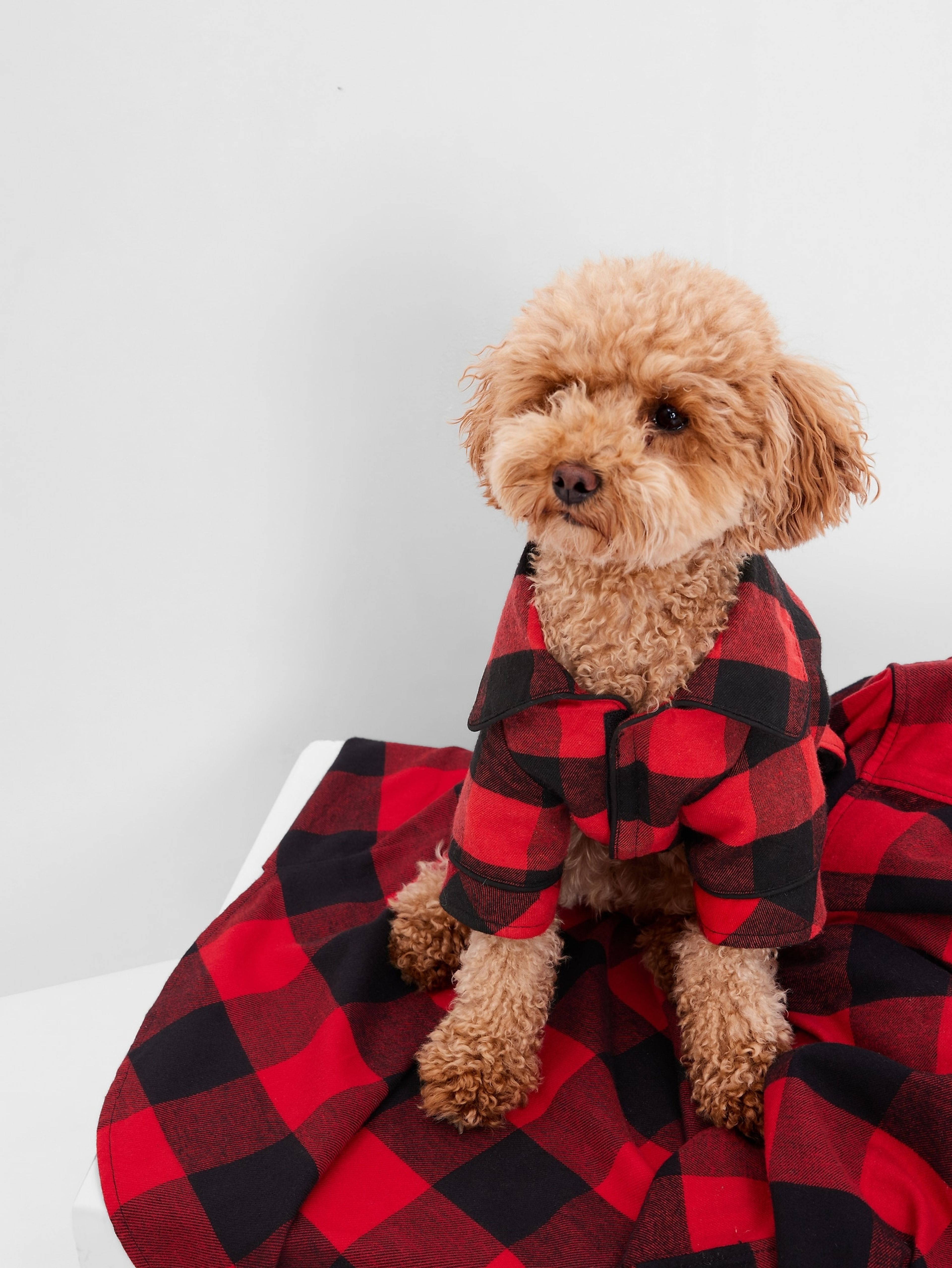 Kockované pyžamo pre psa