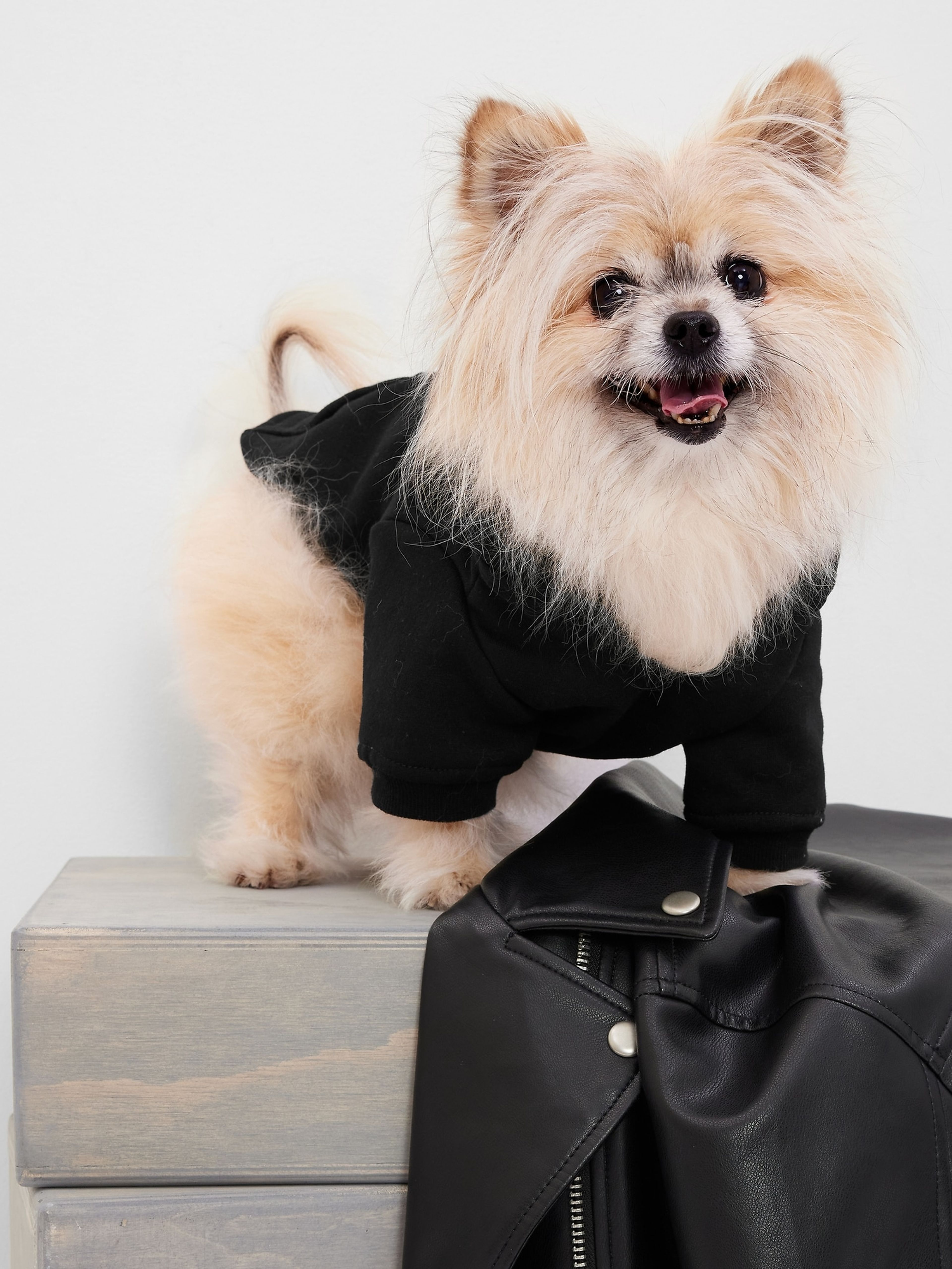 Oblek pro psa s logem