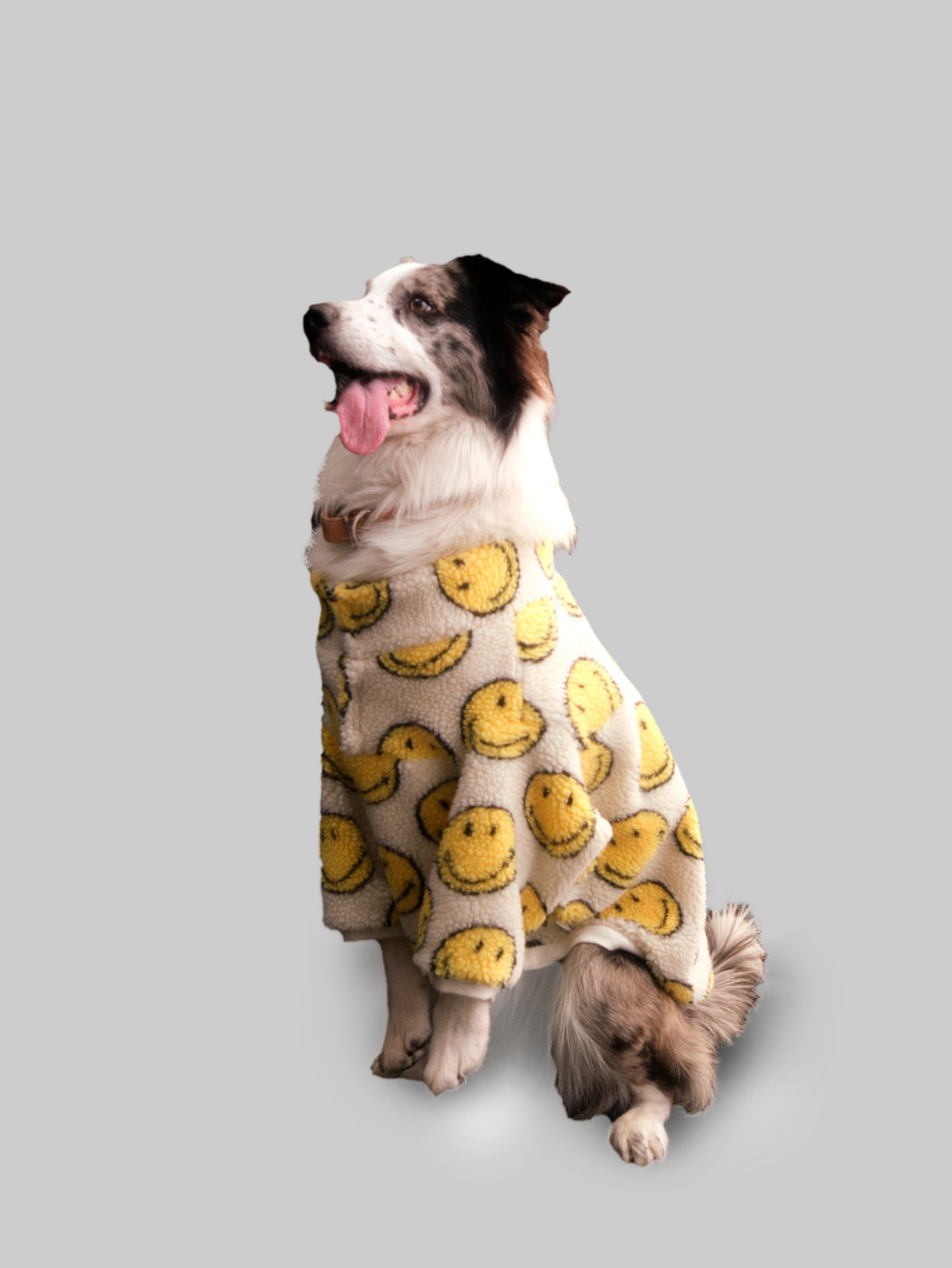 Oblečok pre psa GAP × SmileyWorld® fleece